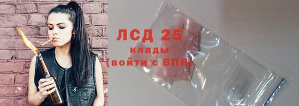хмурый Козловка