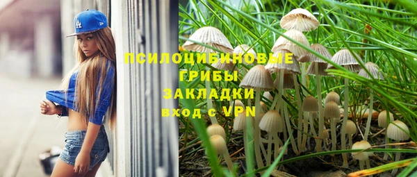 индика Дедовск