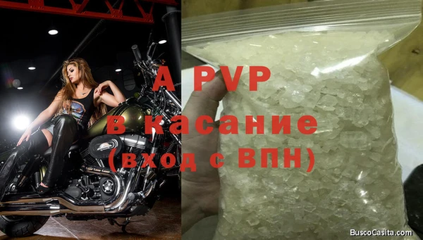 хмурый Карпинск